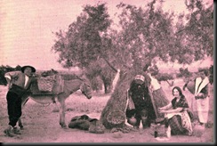 burro-appoyao-1024x768