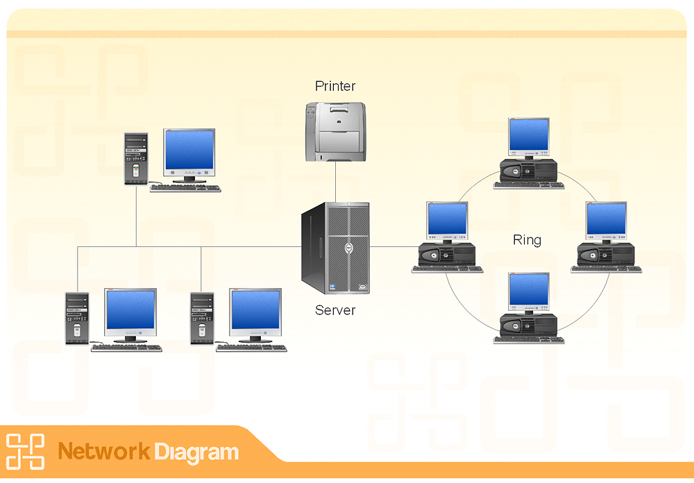 switches and routers.