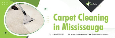 Carpet Cleaning Mississauga