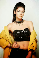 Shilpi Sharma Hot Portfolio Photo Shoot (7)