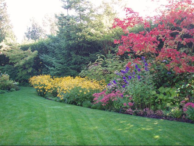 landscaping a suburban back yard flower beds