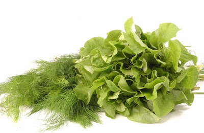jenis sayuran hijau yang sehat dan baik sebagai menu makanan 4 sehat 5 sempurna yang kaya gizi