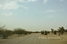 Al Qudra cycling Track, Al Qudra Lakes, Al Qudra camping @colorsofourrainbow.blogspot.ae