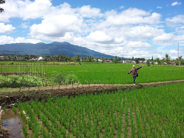 Wisata Bengkulu