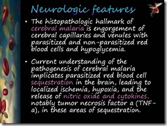 Slide19