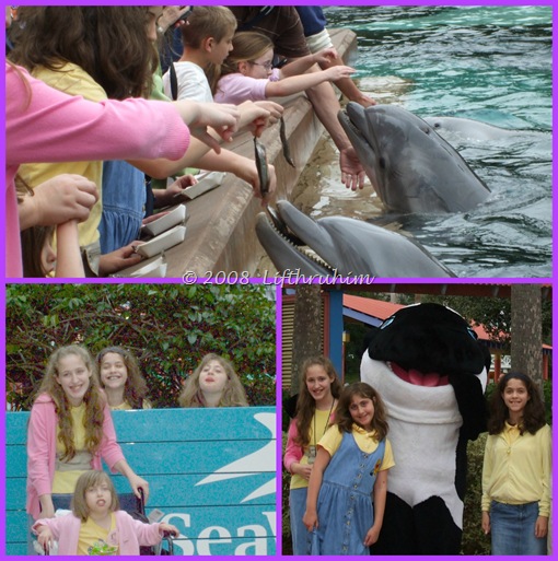 Seaworld Collage 2