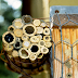 Bee Nesting Structures