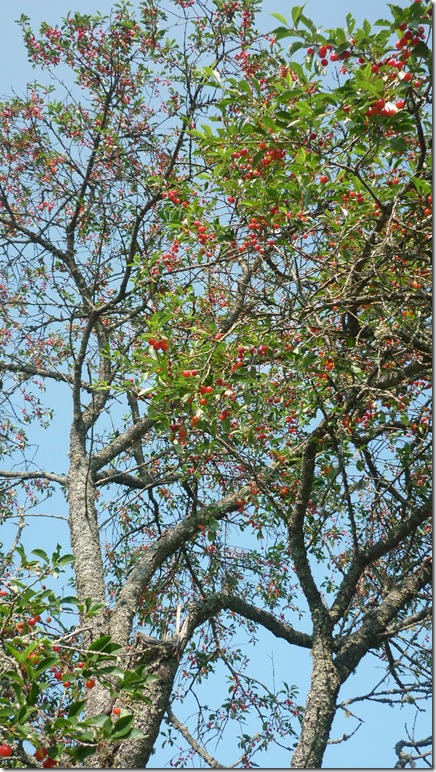 P1120830