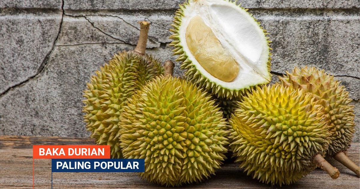 10 Jenis Baka Durian Paling Popular Digilai Ramai Di ...