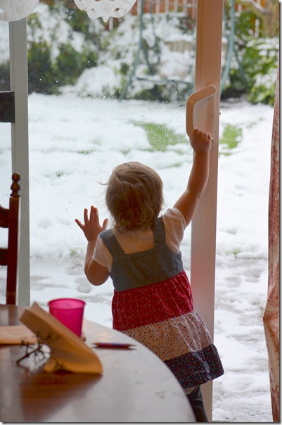 Snow morning 030