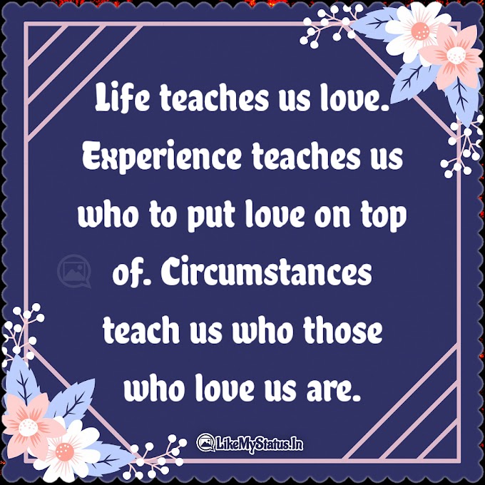 Life teaches us love