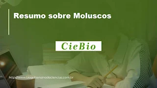 Resumo sobre Moluscos