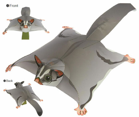 Sugar Glider Papercraft