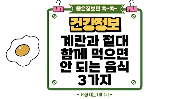 계란과 절대 함께 먹으면 안 되는 음식 3가지 이거 모르면 큰일납니다 섬네일