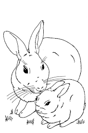 Baby Bunny Rabbit For Coloring Sheet