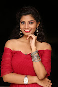 Bindhu latest sizzling photo gallery-thumbnail-8