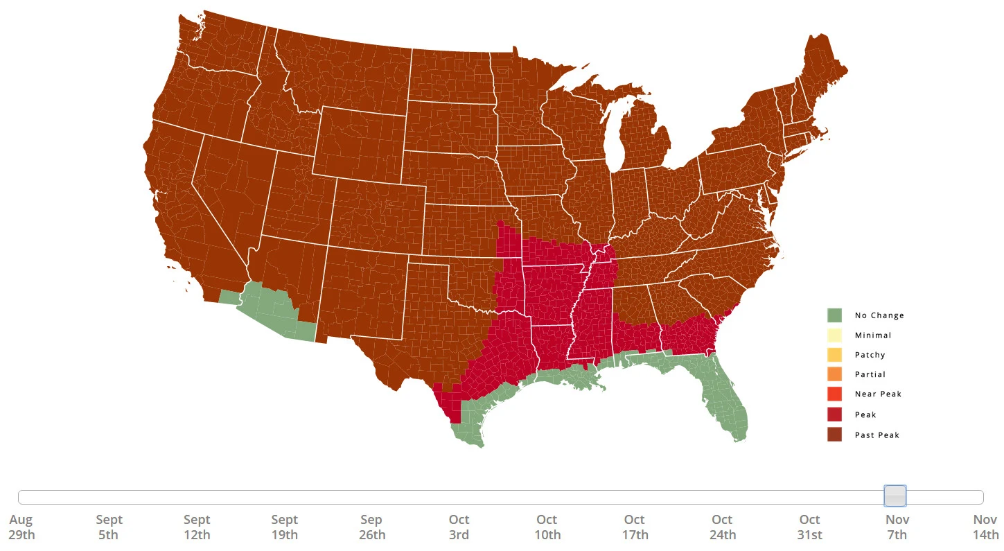 Fall foliage prediction map