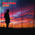 Richard Hawley - Further (2019) Recensione