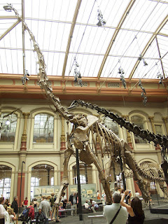 Esqueleto Brachiosaurus