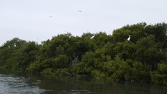 P1090724
