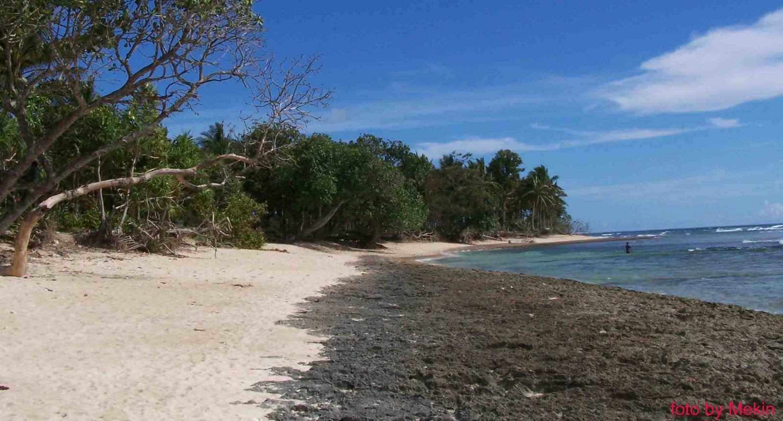 Keindahan Pantai  Tanjung Setia di Wilayah Bagian Selatan 