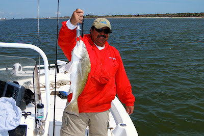 Manual Lara's 23 inch Black Drum