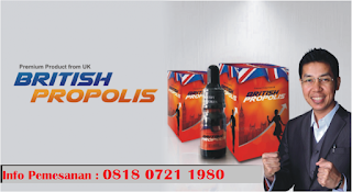 081807211980, Jual Propolis British, Jual Propolis Asli, Jual Propolis, Propolis adalah