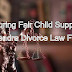 Ensuring Fair Child Support: Expert Legal Guidance