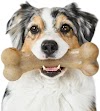 indestructible dog toys for aggressive chewers 