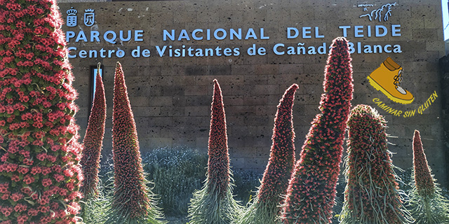 P.N. del Teide - Centro de Visitantes Cañada Blanca