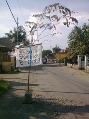 Foto0049