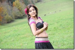 Nisha-Agarwal-Sexy in saree_hot