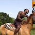 Black Cowboys: Creole Trailrides Showcase Unique Culture