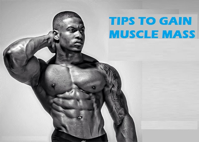 how to gain muscle mass