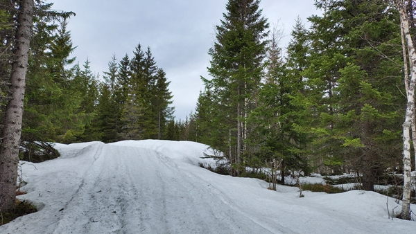 Preståsen fjelltoppjakten