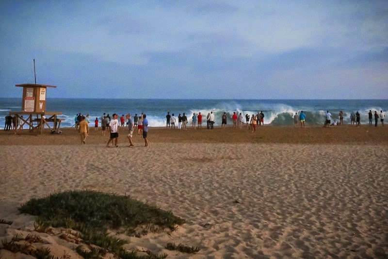 wedge-19