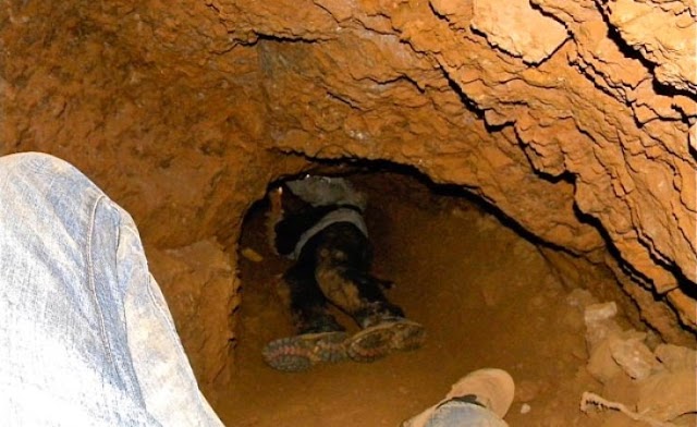 Artisanal gold mining in South Africa is out of control. Mistakes that got it here