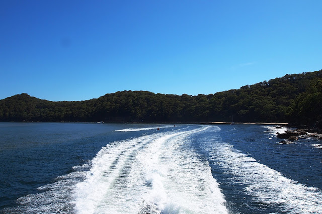 Palm Beach Boat Ride