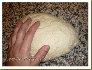 Piadina senza glutine (3)