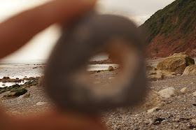 fossil hunting on the Jurassic Coast Branscombe