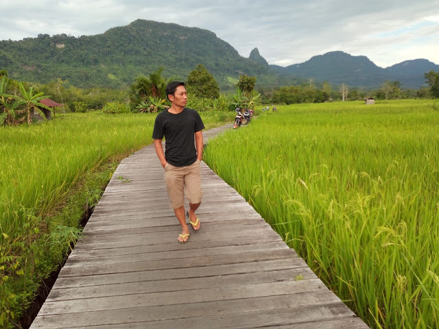 Bersantai Senja Menikmati Indahnya Panorama Alam di Tekalong