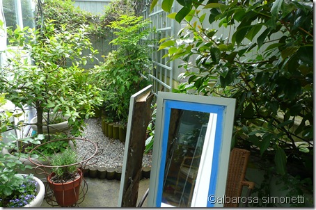 Patio 2011 006