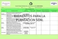 Plan de Trabajo SENL Semana 9 (12 a 16 de octubre de 2020)