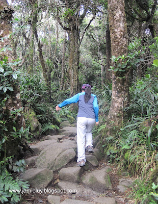 Climbing Mount Kinabalu, Kota Kinabalu, Malaysia