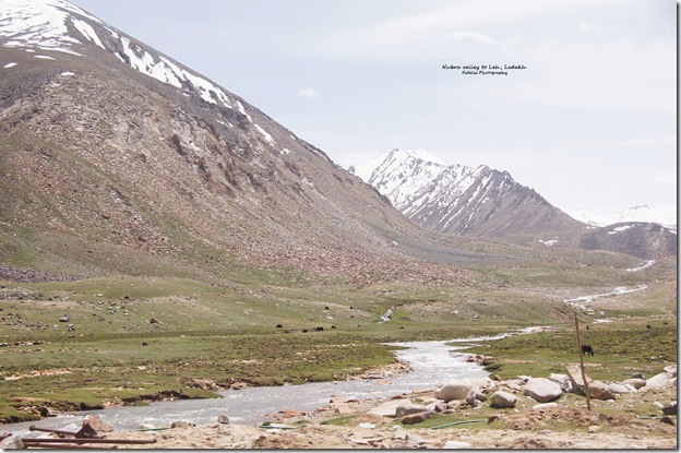Ladakh181