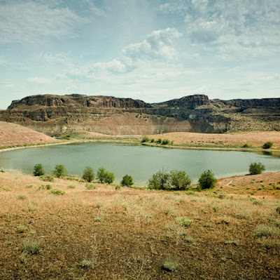 Beautiful Desert