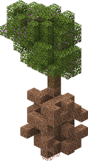 Árvore de azaleia com os blocos, Terra enraizada e Raízes suspensas, debaixo dos troncos da árvore