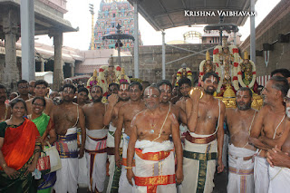 Sri TheliyaSingar , Sri Gajendra Varadhar, Samrokshanam, 2016, Video, Divya Prabhandam,Sri Parthasarathy Perumal, Triplicane,Thiruvallikeni,Utsavam,