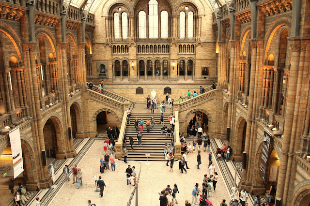 londres, museo-de-historia-natural-de-londres