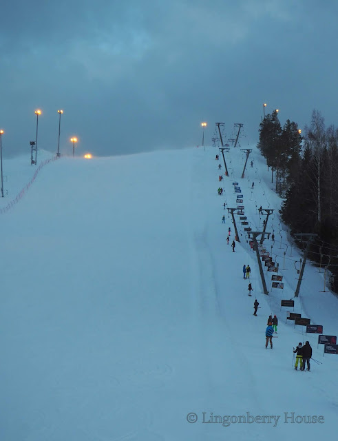 lingonberryhouse, himos, ski resort, hiihdetään, jämsä